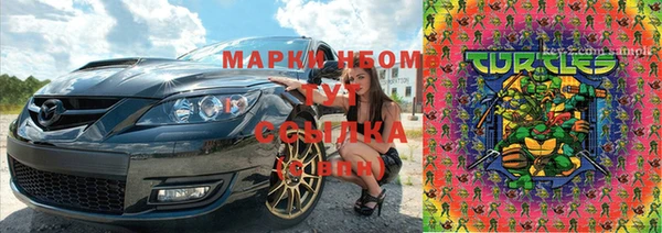 гидра Рославль