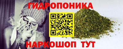 Альфа ПВП Аша