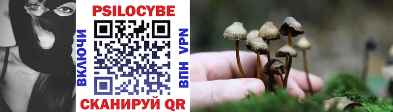 купить   Алатырь  Псилоцибиновые грибы Psilocybine cubensis 