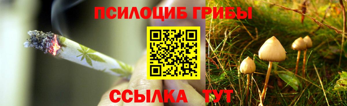 Галлюциногенные грибы прущие грибы  Вход с VPN  Алатырь 